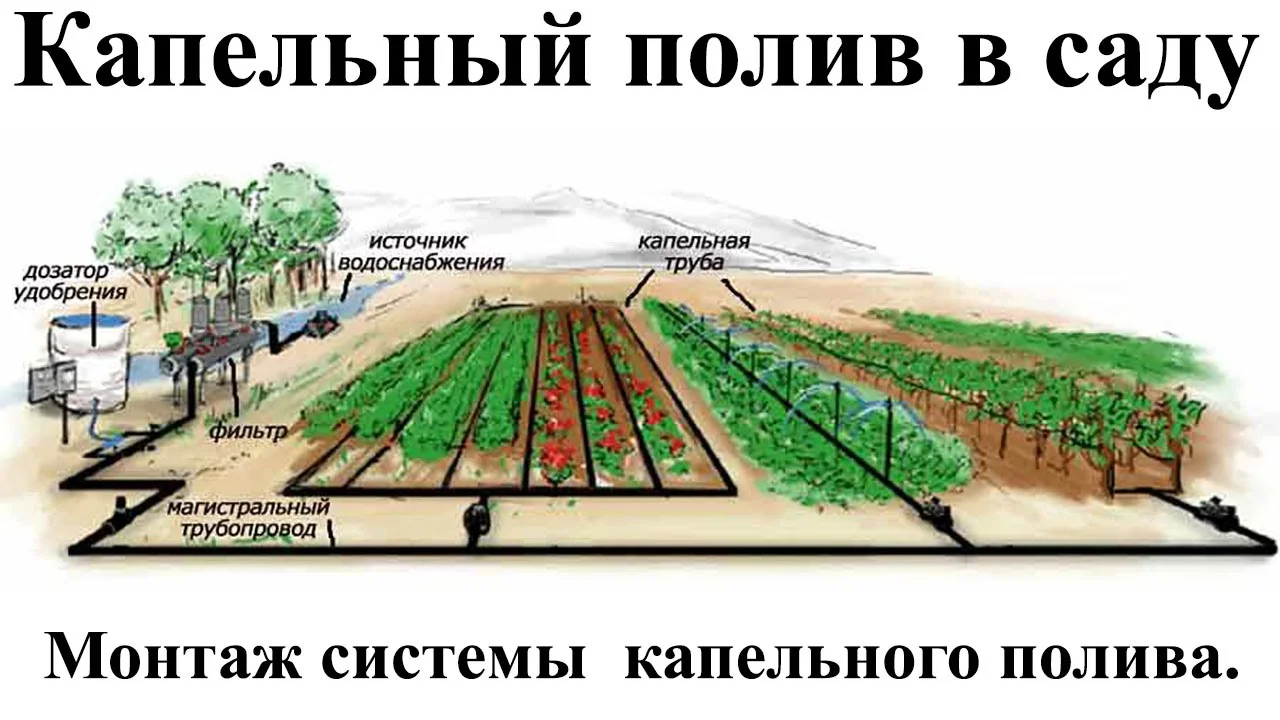 Системы капельного полива