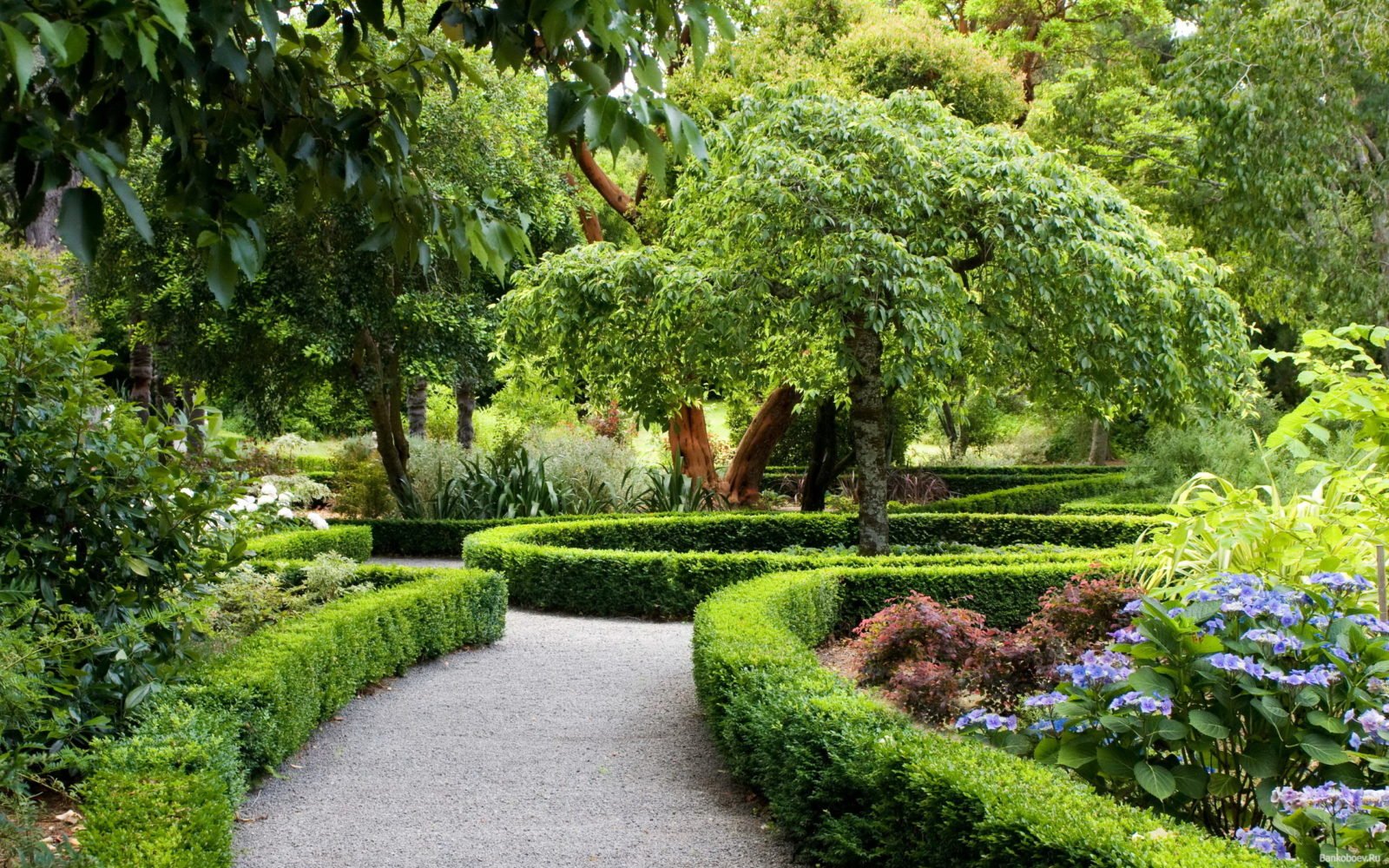 Ландшафтный дизайн и озеленение садового участка